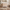 Eos Dresser - Natural | White