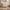 Eos Dresser - Natural | Natural