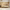 Eos Cot Bed - Natural Ash | Primrose Yellow