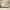Eos Cot Bed - White | Primrose Yellow