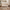 Eos Cot Bed - Natural Ash | Natural