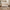 Eos Cot Bed - Natural Ash | White