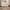 Eos Cot Bed - White | Natural Ash