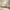 Eos Cot Bed - Natural Ash | Soft Cashmere